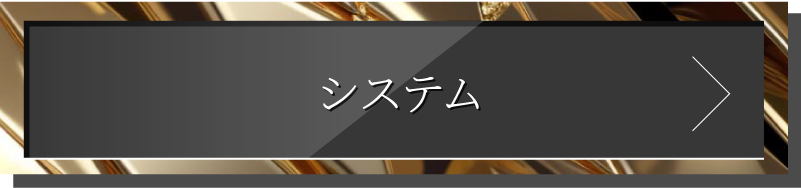 システム